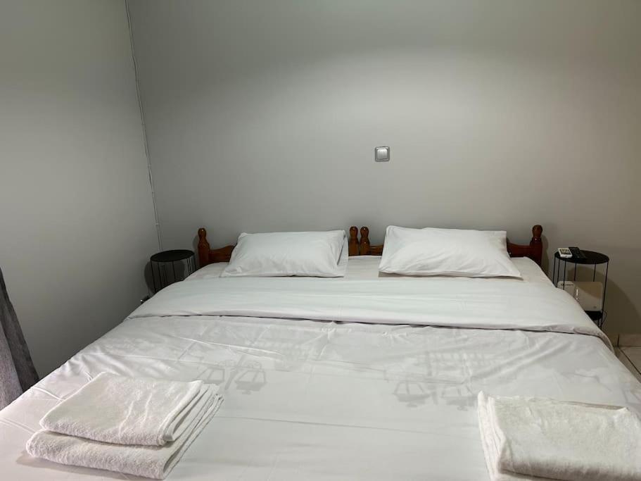 D2 Apartment - Athens Oasis Esterno foto
